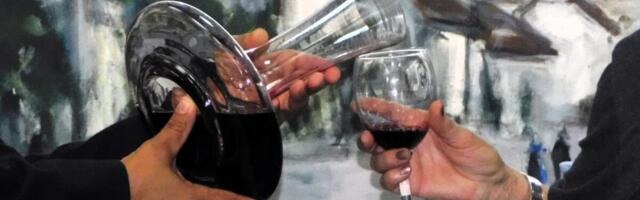 "Priča o vinu" u Loznici: Degustacija, muzika i vina iz Srbije i regiona u Muzeju Jadra (FOTO)