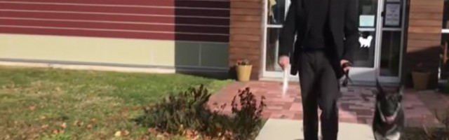 BAJDENOV OVČAR IZUJEDAO PRIPADNIKA OBEZBEĐENJA! Oba psa IZBAČENA iz Bele kuće! /VIDEO/