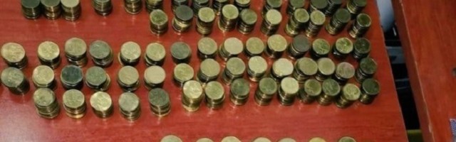 Devojčica daje ušteđevinu za Aniku, a vlast donira 2 miliona SPC