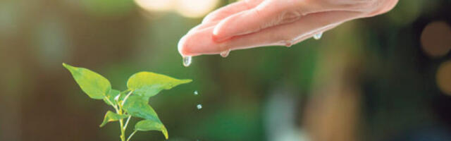 Подстицаји за заштиту биолошке разноврсности за 10 локалних самоуправа