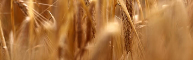 ЕУ разматра субвенције за пољопривредна и транспортна предузећа