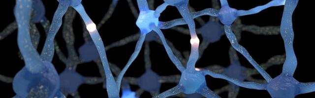 Novootkrivena moždana mreža je „tajni sistem“ sačinjen od pomoćnih ćelija