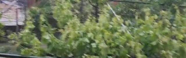 Oluja i kiša pogodili jug Srbije: Mnogi građani ostali bez interneta i kablovske televizije (VIDEO)