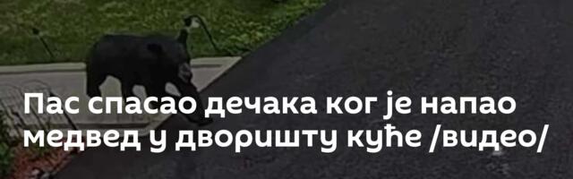 Пас спасао дечака ког је напао медвед у дворишту куће /видео/