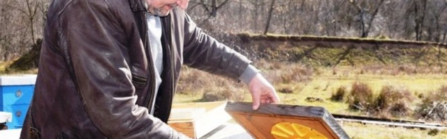 GLADAN MEDVED NAPRAVIO HAOS! Provalio u pčelinjak Radeta Marjanovića na Tari, pet košnica potpuno uništio/FOTO/