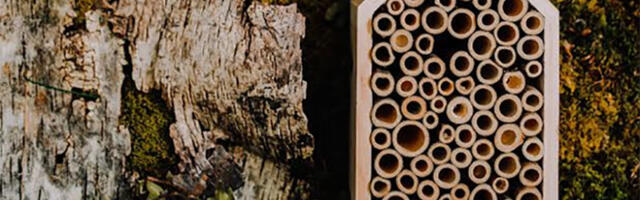 Baštenski nameštaj inspirisan prirodom – da li ste nekada čuli za hotele za insekte?