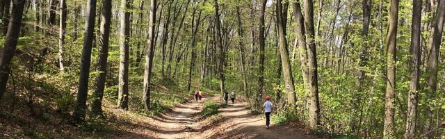 Uprava NP "Fruška gora": Apelujemo na građane da prepoznaju značaj naplate naknade