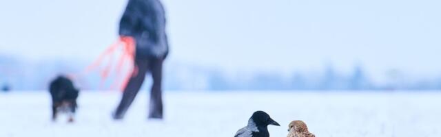 RHMZ saopštio šta nas sutra čeka: Vesti nisu tako loše