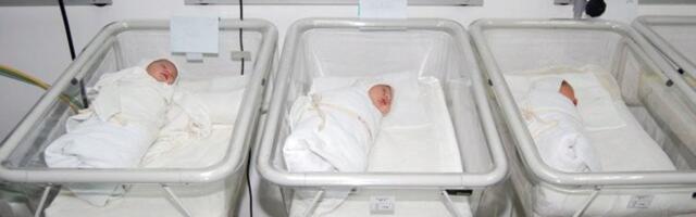 Biljana je najbolja babica u Srbiji: Nećete verovati koliko beba je prošlo kroz njene ruke (FOTO/VIDEO)