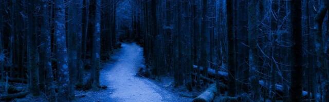 Ponoćni horor u dvorištu: Krdo misterioznih zveri na par metara od kuće (VIDEO)