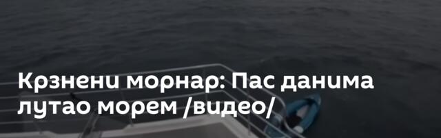 Крзнени морнар: Пас данима лутао морем /видео/