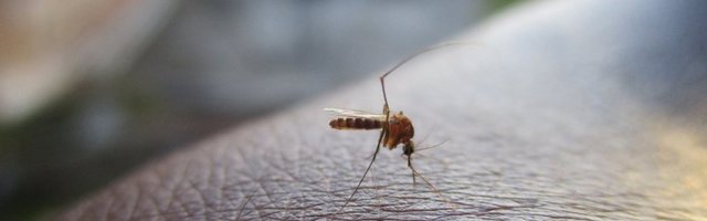 Ruski virusolog opominje ko su najveći prenosnici virusa i šta će se desiti sa mutacijama koronavirusa