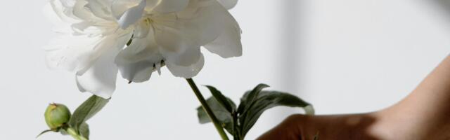 Dnevni horoskop za 19. novembar 2025: Saturn u Jarcu stavlja nas na sudbinski test