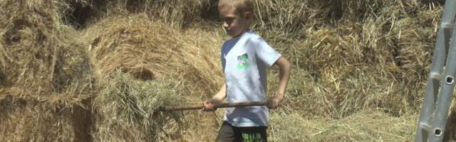 BOGDAN JE PONOS PORODICE! Najmlađi domaćin u Srbiji, ima samo 7 godina - umesto lajkova i igrica, broji krave, ovce, jaja u gnezdu i jutra provedena u štali