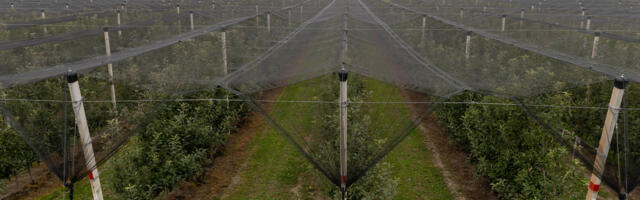 EEA: Klimatske promene najviše pogađaju tri sektora, ulaganje u njih bi smanjilo gubitke od više milijardi evra