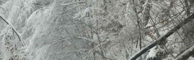 SNEG i RAZORNA košava: Detaljna prognoza RHMZ za praznike