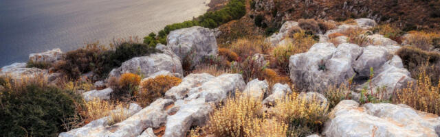 Грчка на путу зелене будућности