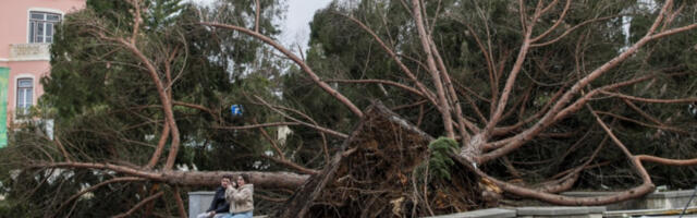 Slovenija: Zbog nevremena hiljade ljudi bez struje, zatvorene škole i vrtići