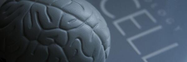 Elon Muskova kompanija će vršiti testiranje na ljudima