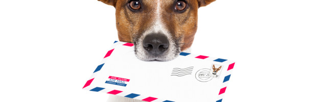 Monopol i političko upravljanje – kako posluje Pošta Srbije?