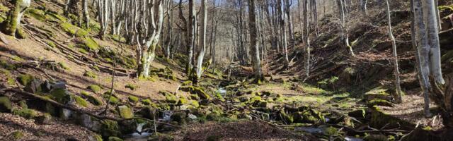 Planinarski klub “Železničar” organizuje obilazak vodopada Orlov kamen na Staroj planini