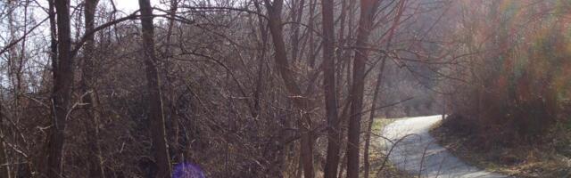 Pogledajte, nesvakidašnji prizor kod Aleksandrovca, svi se pitaju šta je ovo? Dušan na putu naišao na džinovski plod, teži 3 kilograma