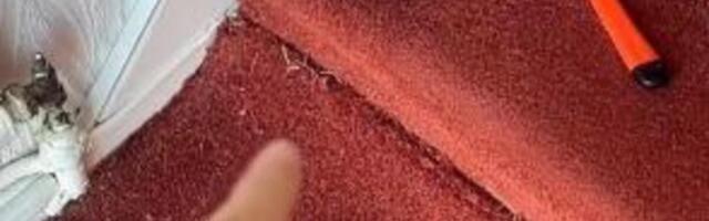 TEPISI SU BAŠ ŠTROKAVI! Usisivač je tu NEMOĆAN - napravite sami PRSKALICU od sode, sirećeta i još ove 3 STVARI