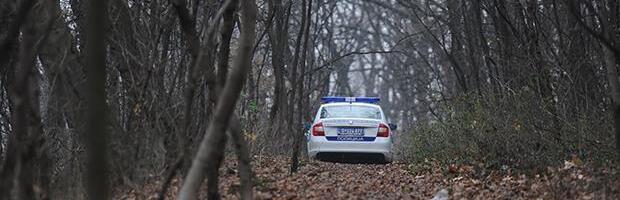 ČETVRTI DAN POTRAGE ZA LJUBICOM (77) U ZVEZDARSKOJ ŠUMI: Policija češlja teren, a evo dokle vodi poslednji trag