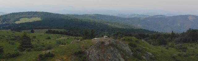 Nesvakidašnja zver snimljena na srpskoj planini: Ponosno ispozirala, fotografija obišla ceo Balkan