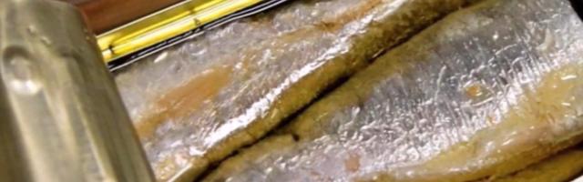 NIKAD NE KUPUJTE SARDINU ILI TUNJEVINU U KONZERVI AKO NA VIDITE NA NJOJ OVA TRI SLOVA!