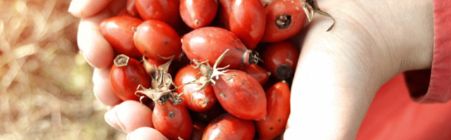 Ovo je jednostavan način na koji ćete pomoći svima, čak i onima koji tek dolaze!