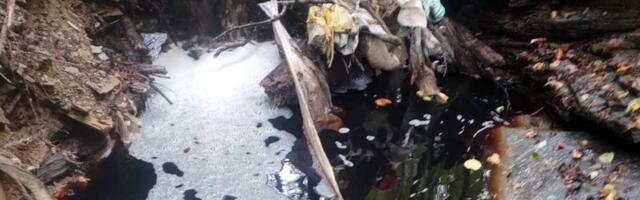 Vodna inspekcija će izvršiti vanredni nadzor Turskog potoka
