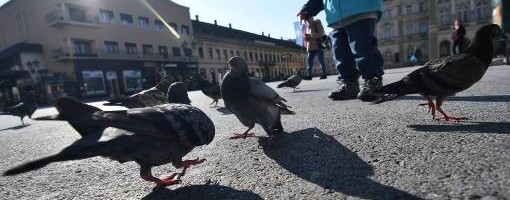 U Srbiji sutra jutro hladno, preko dana sunčano