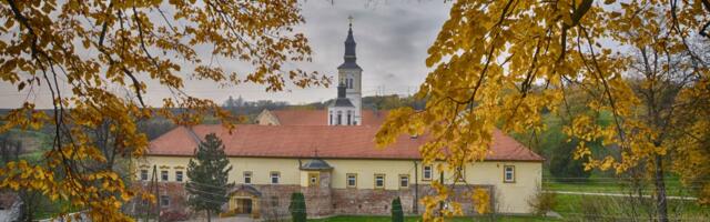 Gojković: Pokrajinska vlada daje 5 miliona dinara za radove na riznici u Krušedolu