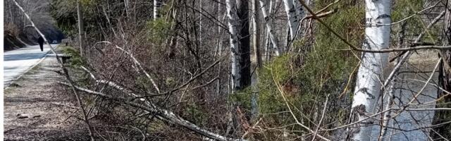 Ujedinjena opozicija: Ekološki i infrastrukturni kolaps Vlasinskog jezera