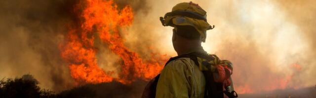 Srbi pošumljavali šumu u Austriji, pa je zapalili