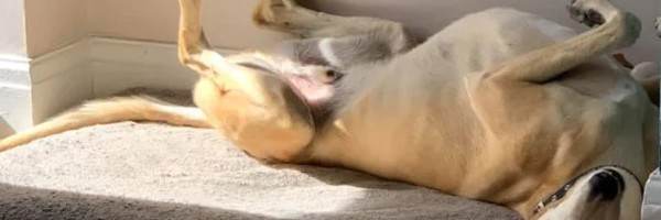 Oskar za Najboljeg glumca