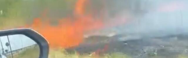 Požar kod niškog Aerodroma, vatrogasci na terenu