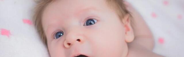 U Novom Sadu za jedan dan rođeno 29 beba, među njima i dva para blizanaca