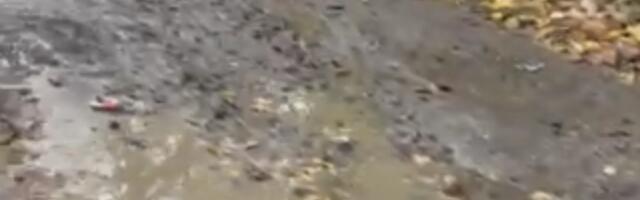 Dobar dan iz Kragujevca!