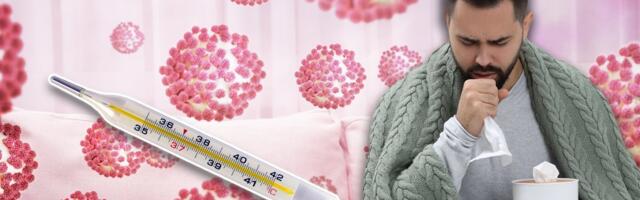 Grip kosi sve pred sobom - Zaražene cele porodice: Na jedan bol se svi žale