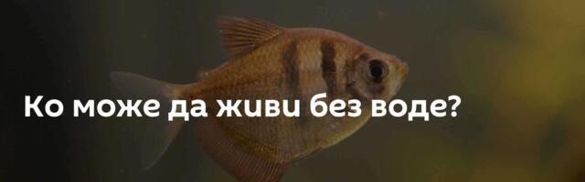 Ко може да живи без воде?