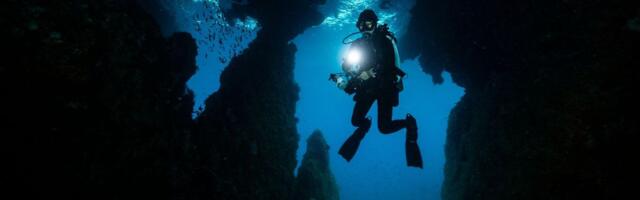 DRAMATIČNO UPOZORENJE NAUČNIKA Postoji pretnja od masovnog izumiranja, a najgore će proći ova stvorenja