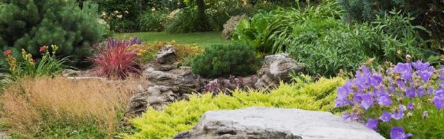 Biljke koji mnogi sade uz kuću, a koje privlače zmije