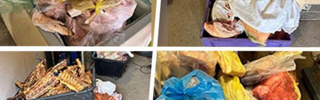 ODUZETO 1,6 TONA MESA U ILEGALNOJ KLANICI! Užas u Subotici: Pronađeno pokvareno živo meso i mesne prerađevine!