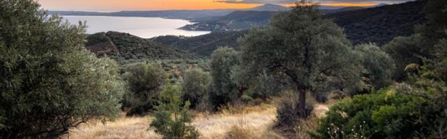 U delu Halkidikija danas zabrana kretanja zbog visokog rizika od izbijanja požara
