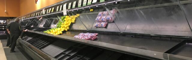 T. Vujić: Sankcije Rusiji pogubne za svetsku ekonomiju