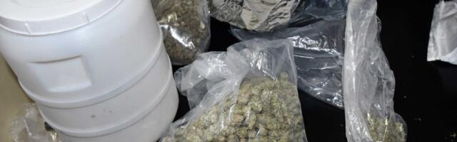 Pala dilerska grupa u Nišu, zaplenjeno skoro 2 kilograma marihuane