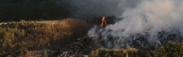 Veliki požar između Beočina i Rakovca: Gori nisko rastinje