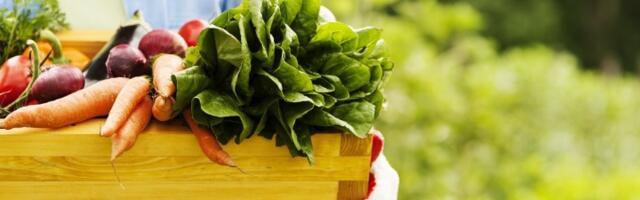 Ljudi koji jedu organsku hranu imaju više toksina u krvi